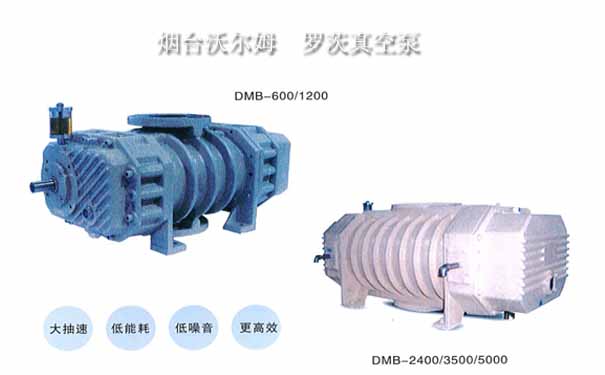VOLM罗茨真空泵-江南(中国) VOLM罗茨真空泵-江南(中国)