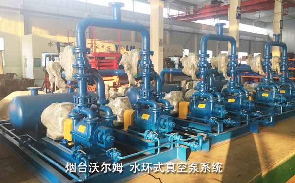 不锈钢水环式真空泵系统-烟台沃尔姆 不锈钢水环式真空泵系统-烟台沃尔姆